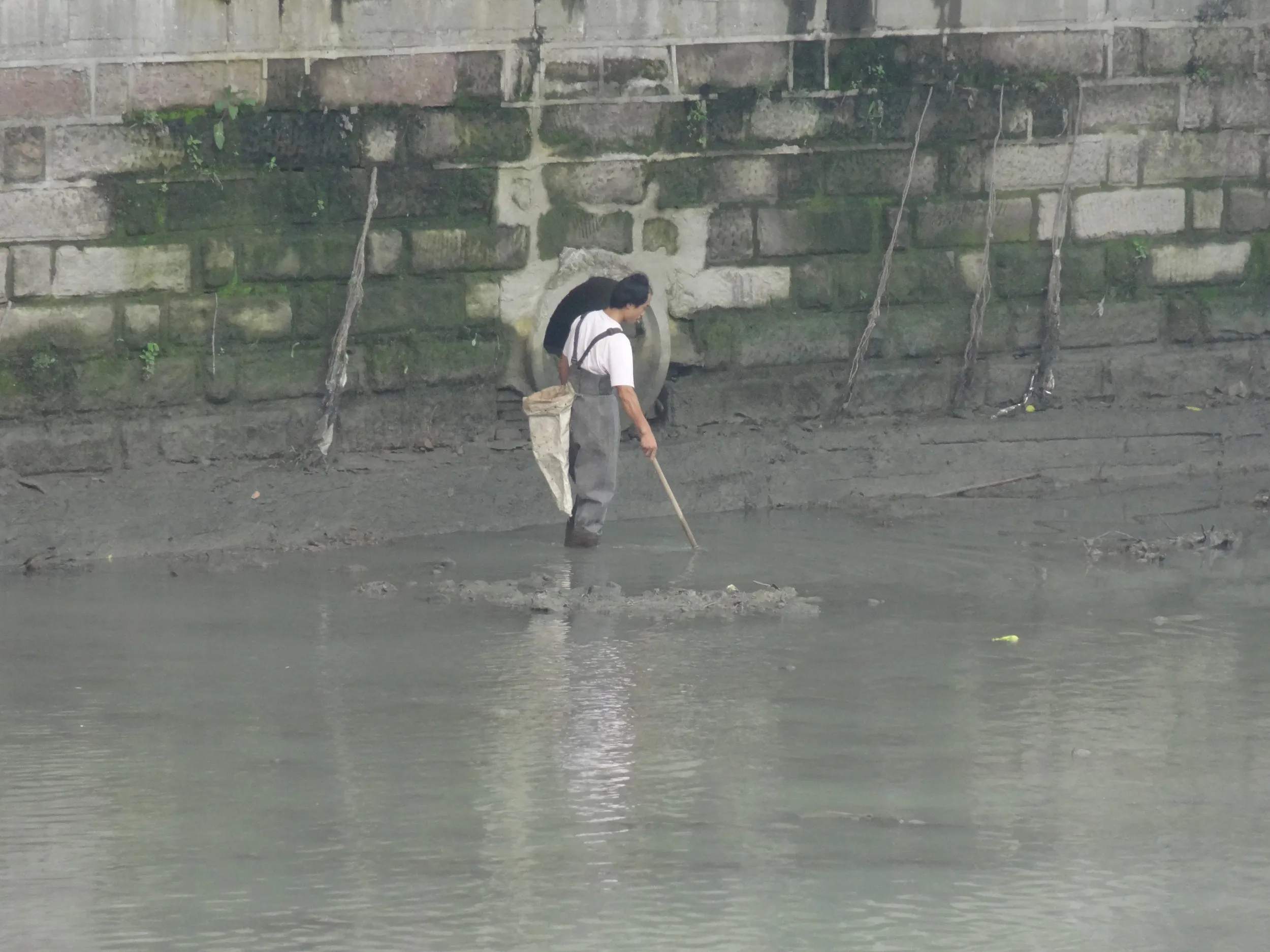 新南門付近 錦江の川辺