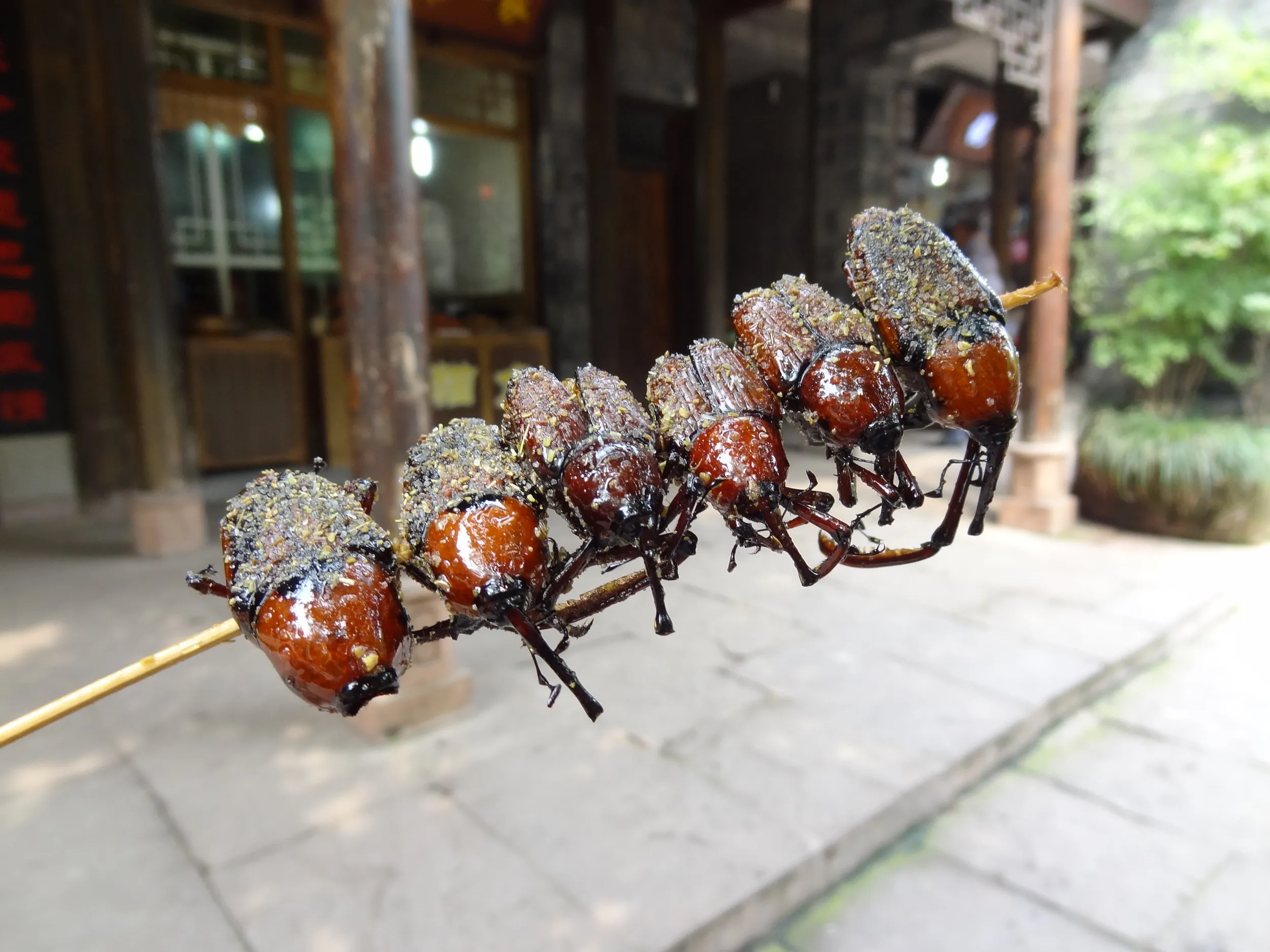 ゾウムシの串焼き