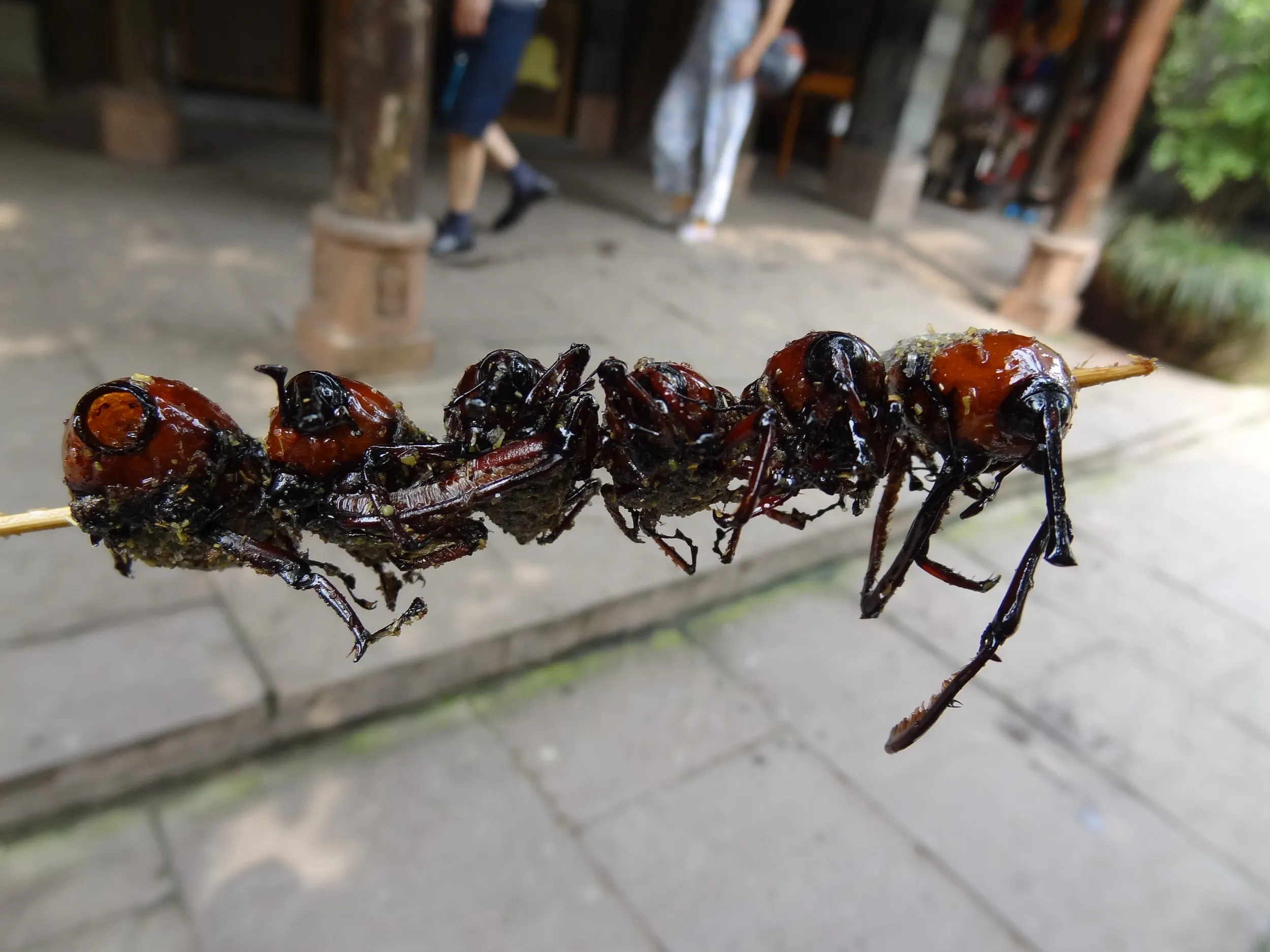 ゾウムシの串焼き アップ