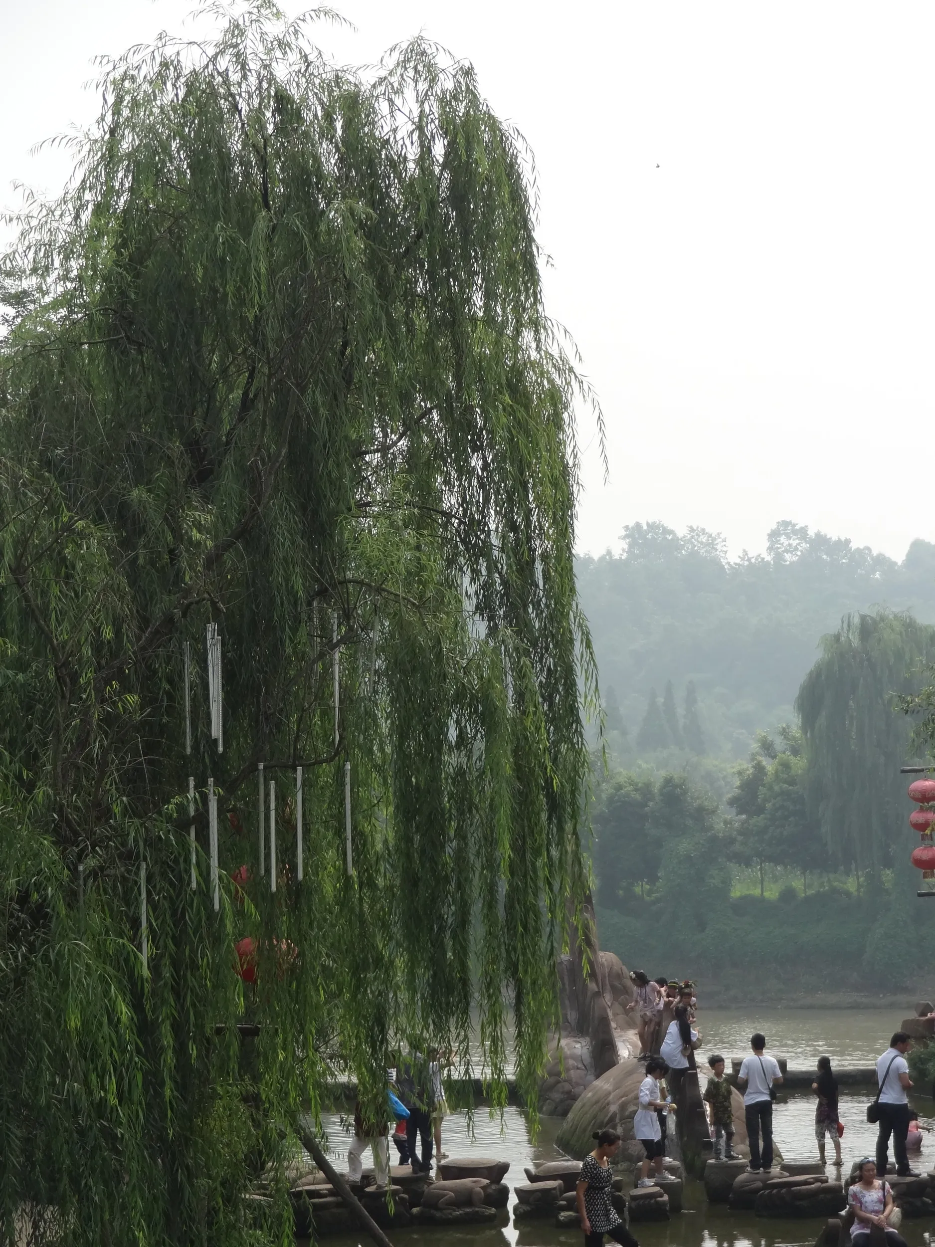 柳と府河(岷江)