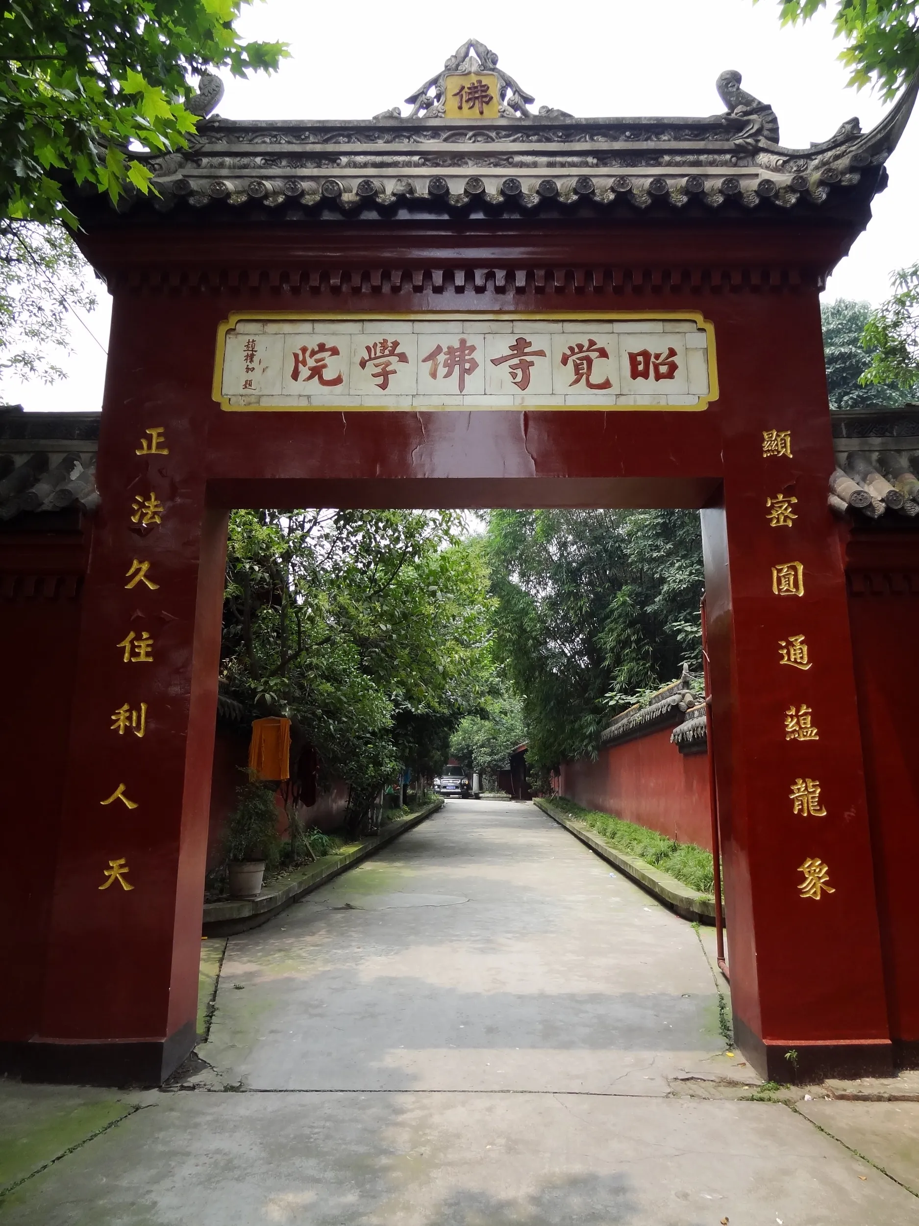 成都動物園へと続く道