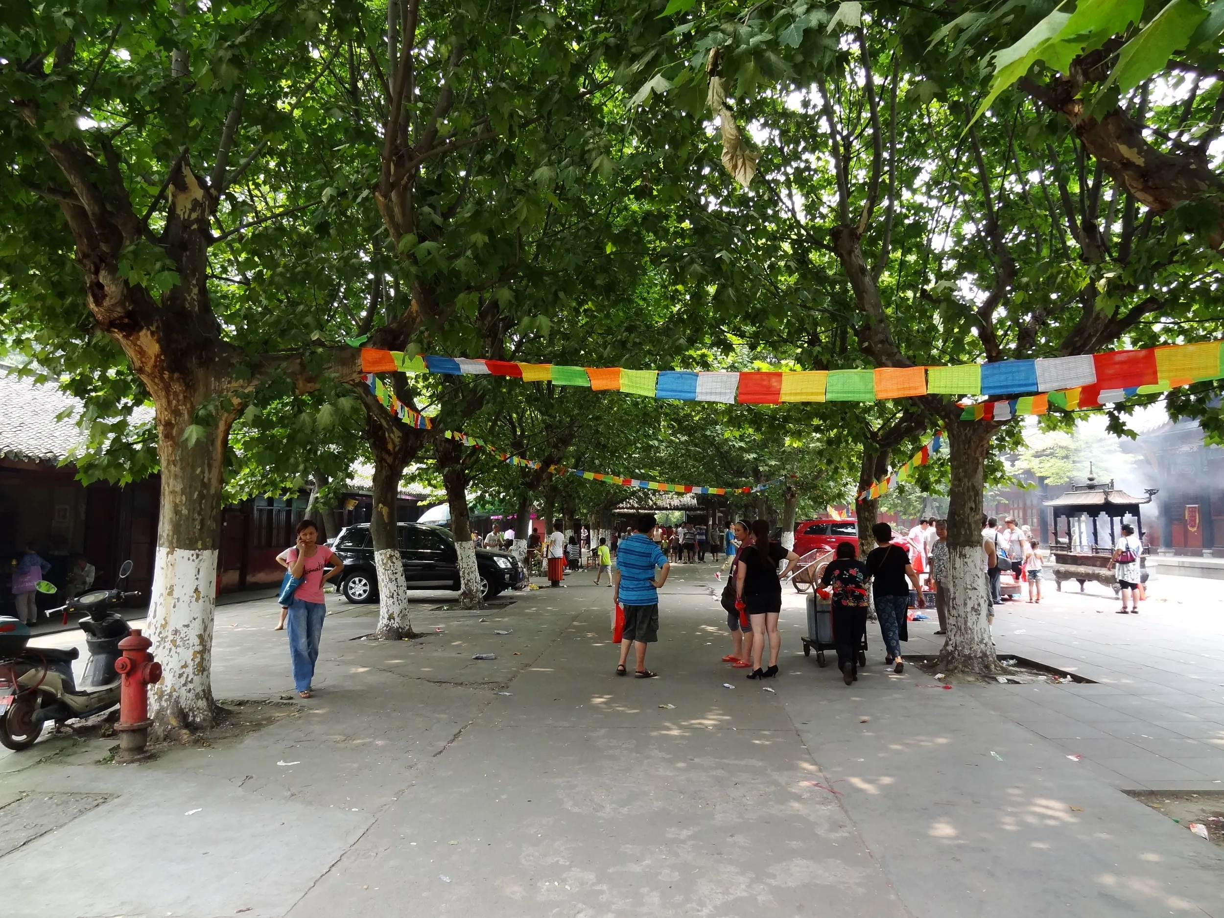成都動物園へと続く道