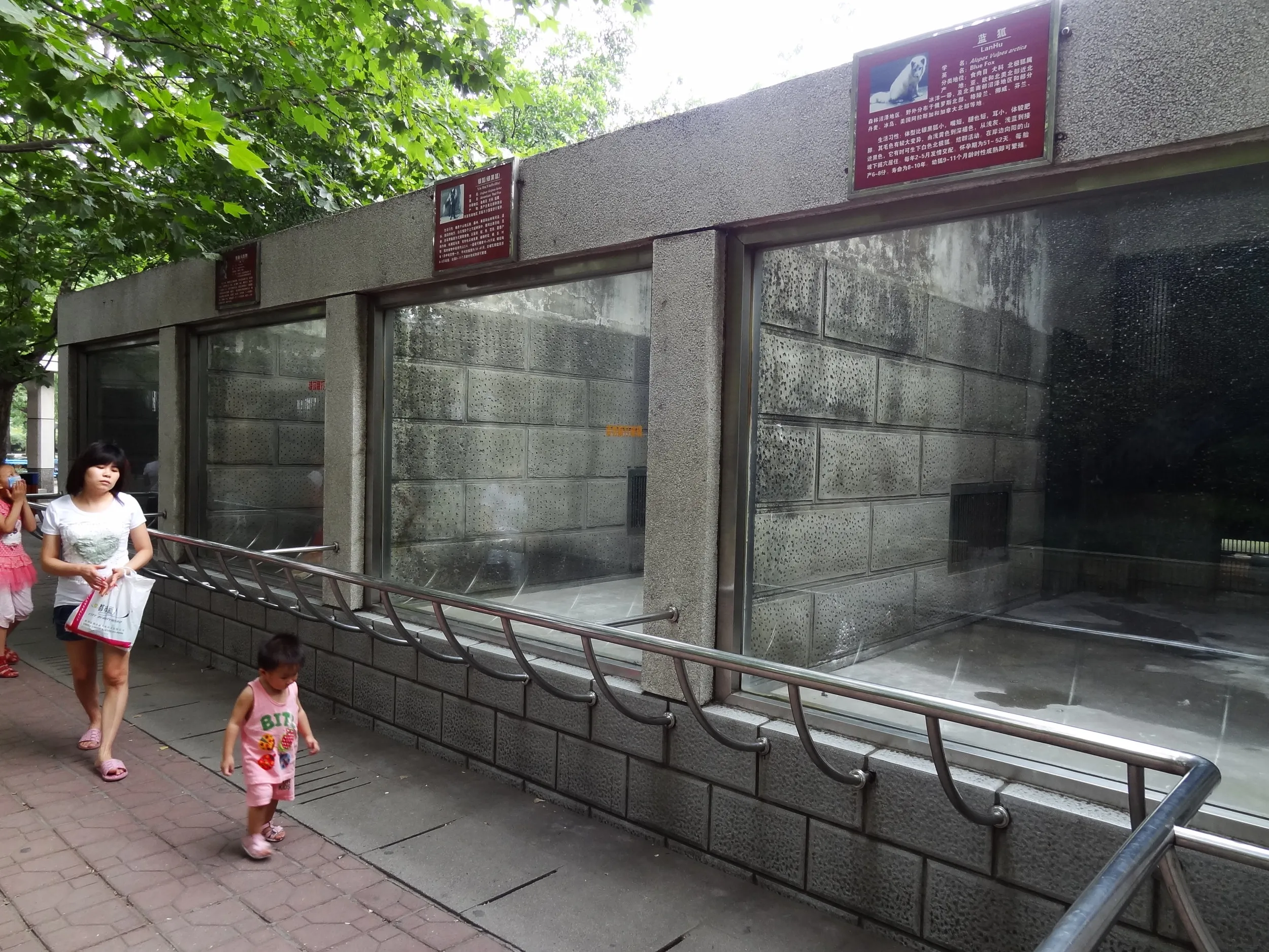 肉食動物のブース