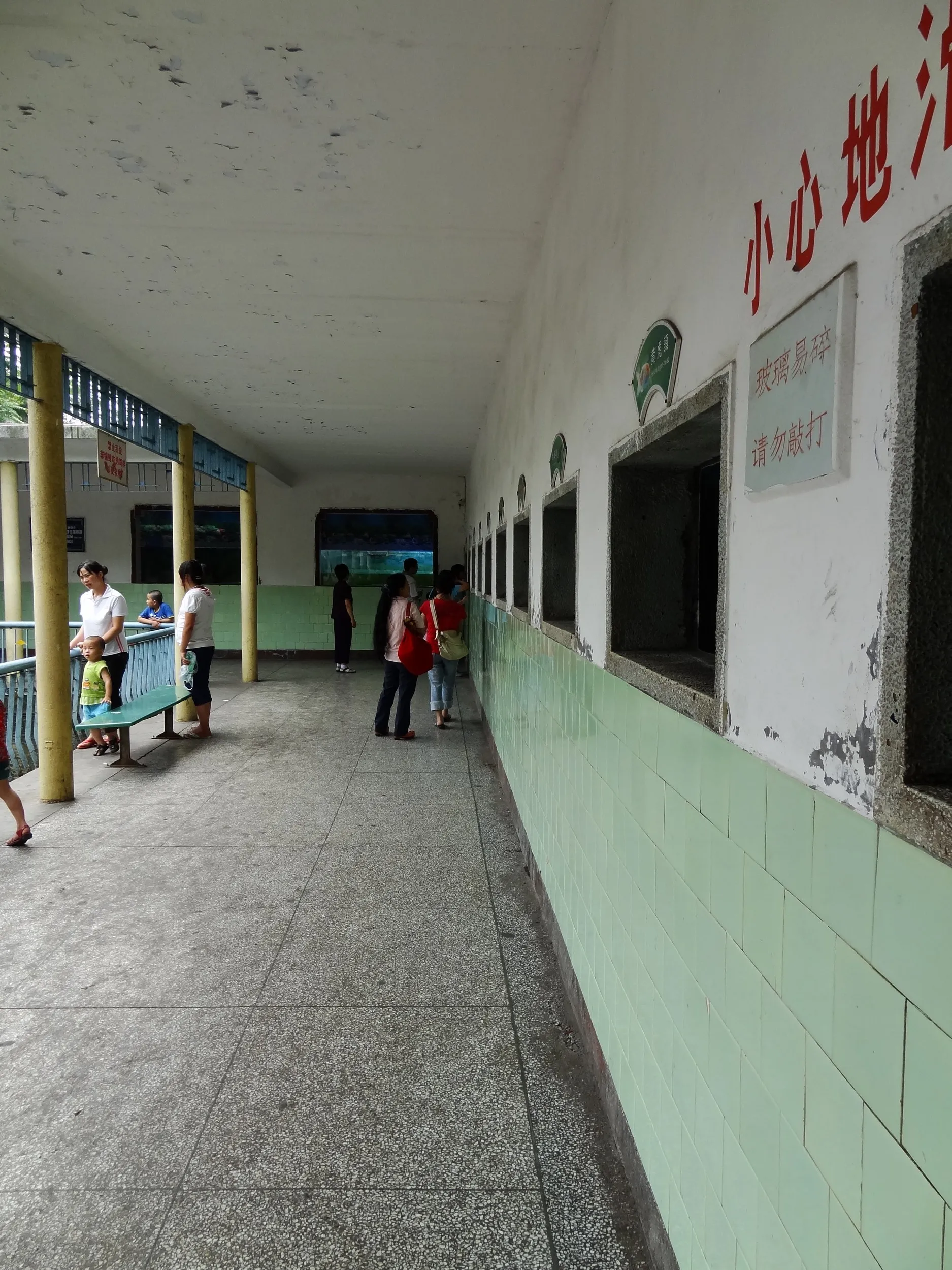 金魚等を展覧しているブース