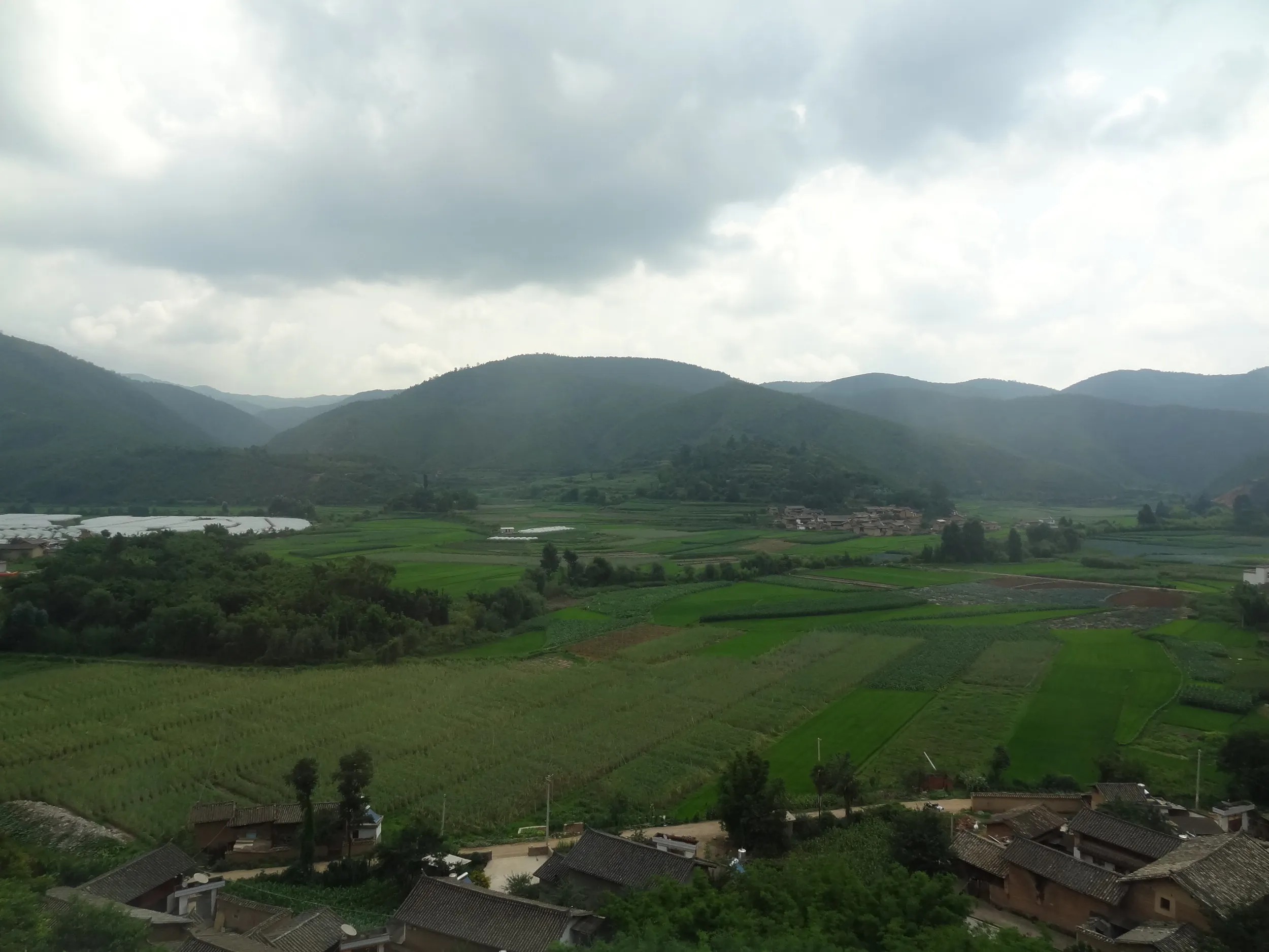 田園と山が見える車窓風景