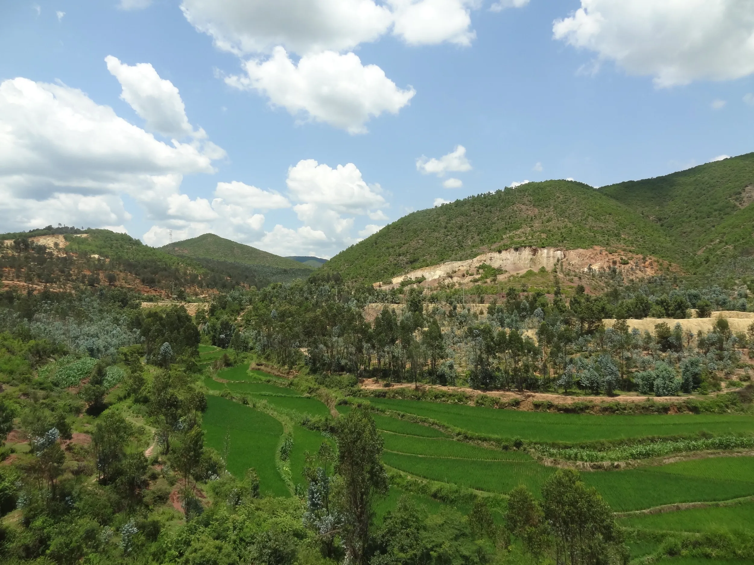 山と田園の風景