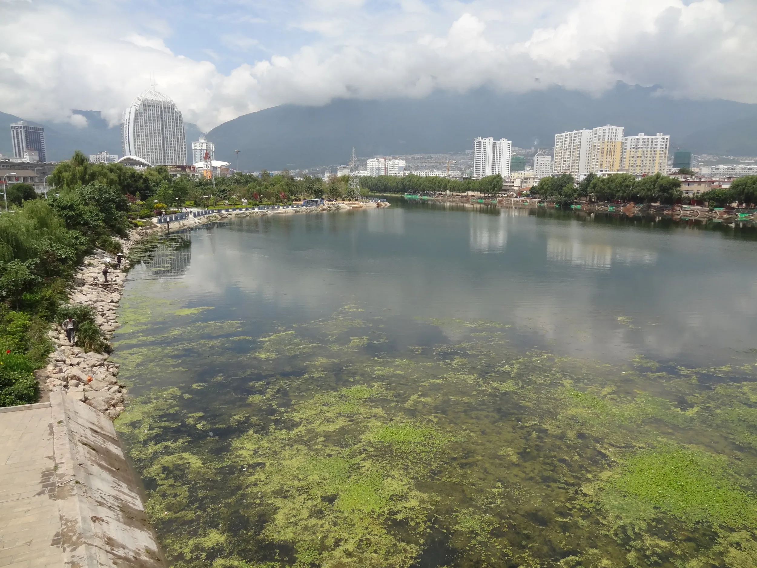 橋の上から見た洱海の風景
