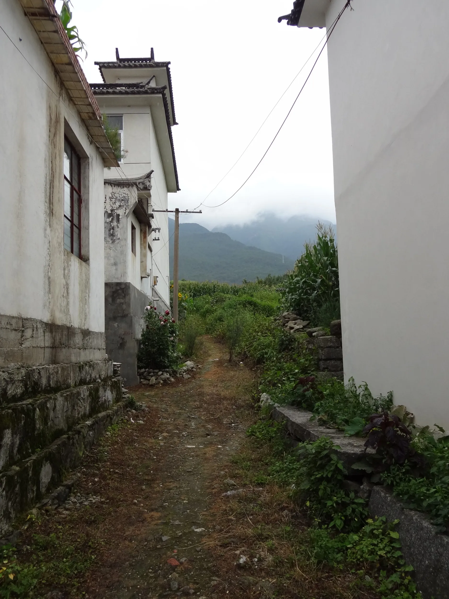 未舗装の道と蒼山