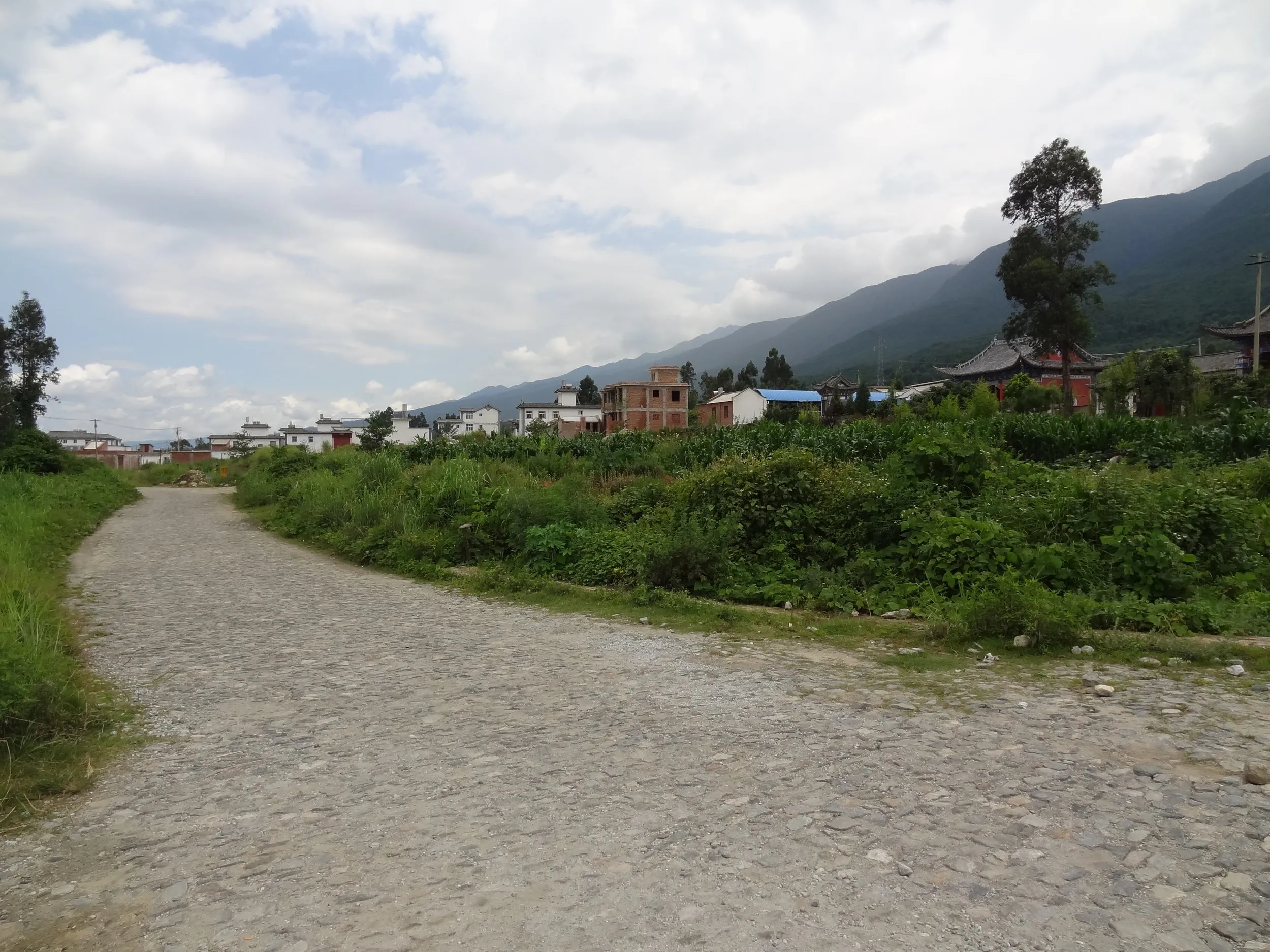 蒼山の下に広がる民家と風景