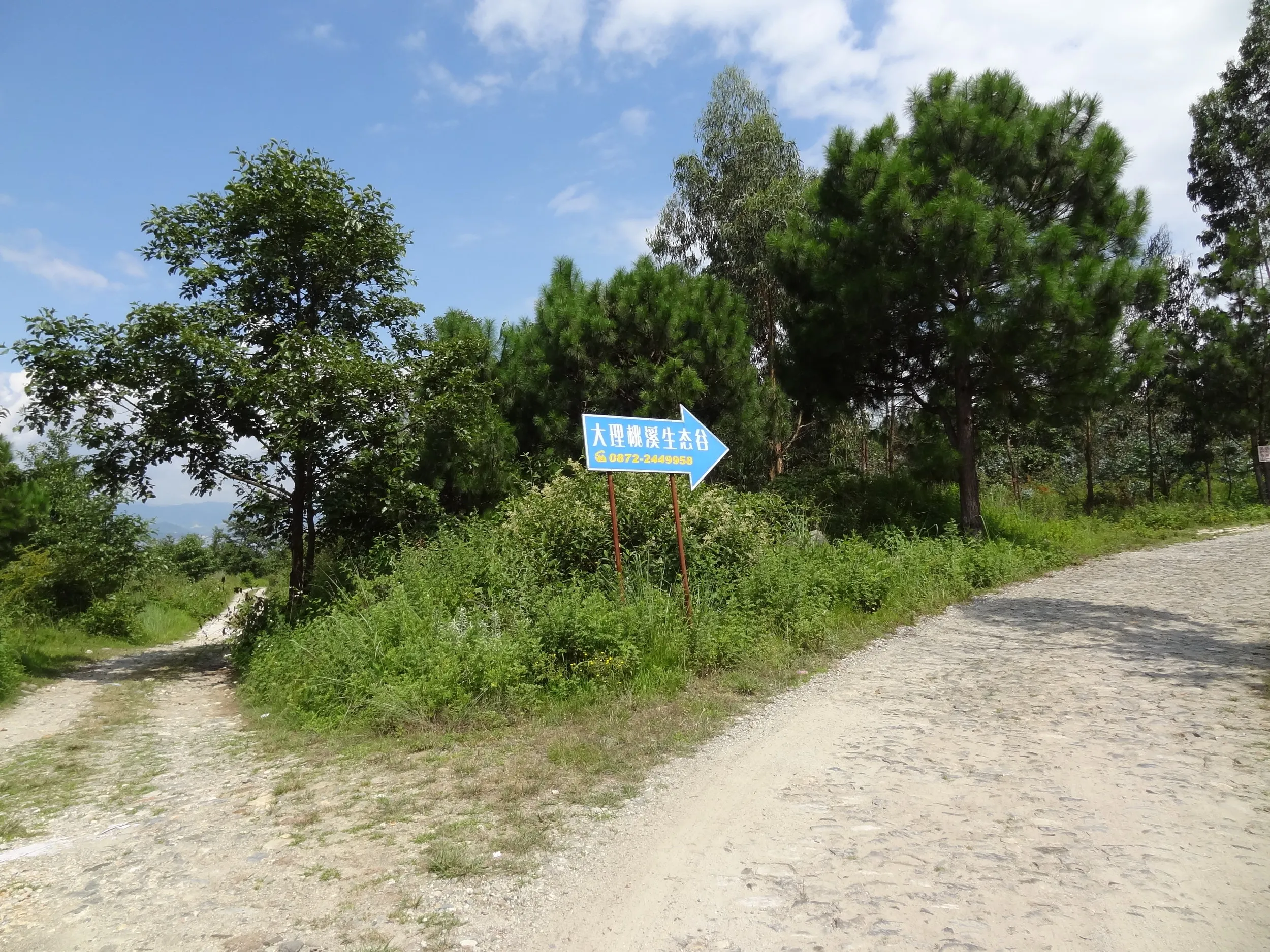 蒼山の桃渓谷へと続く山道