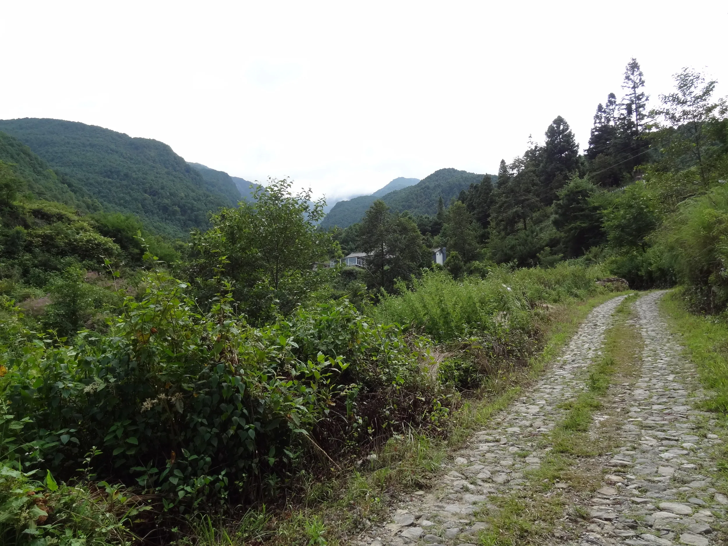 蒼山の桃渓谷の山道