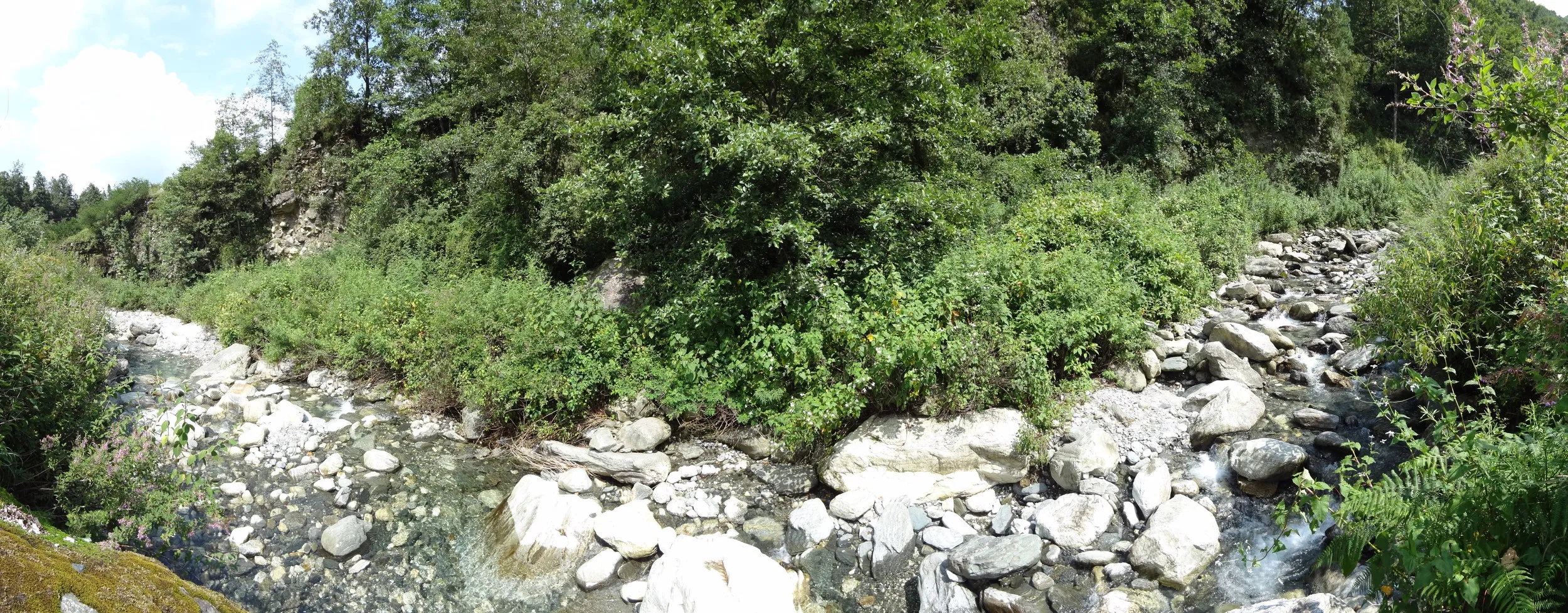 蒼山の桃渓谷の渓流 パノラマ撮影