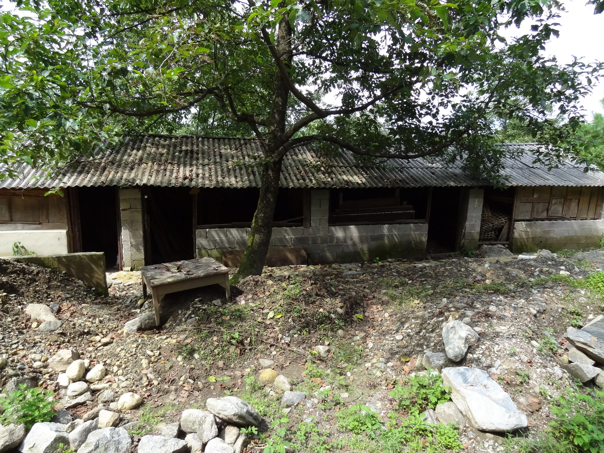 蒼山の桃渓谷のキャンプサイトらしき跡