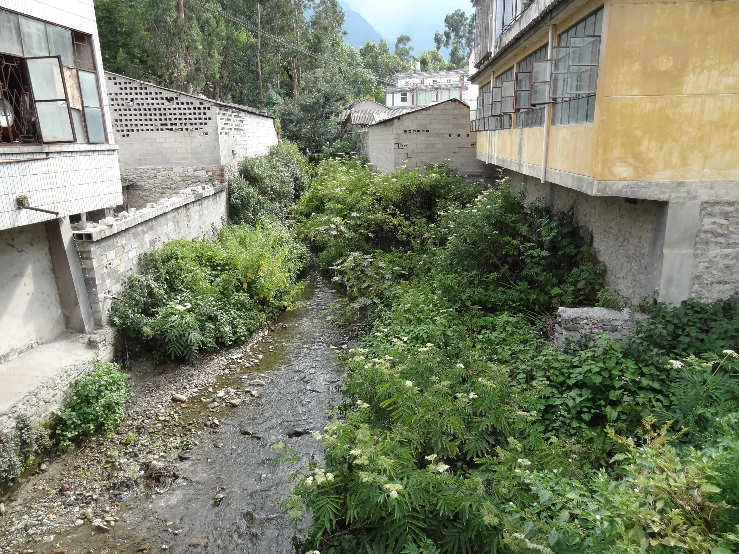 大理古城を流れる川
