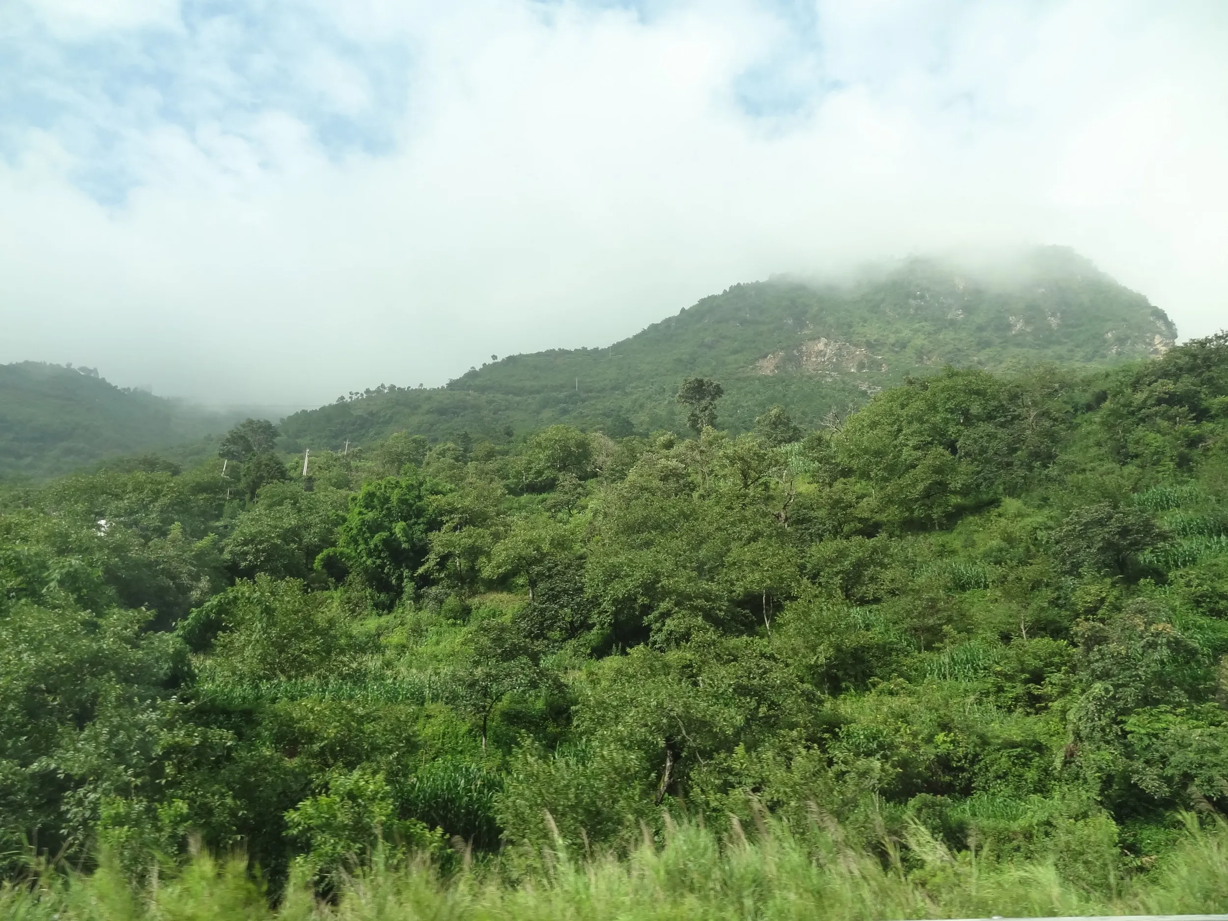車窓からの風景