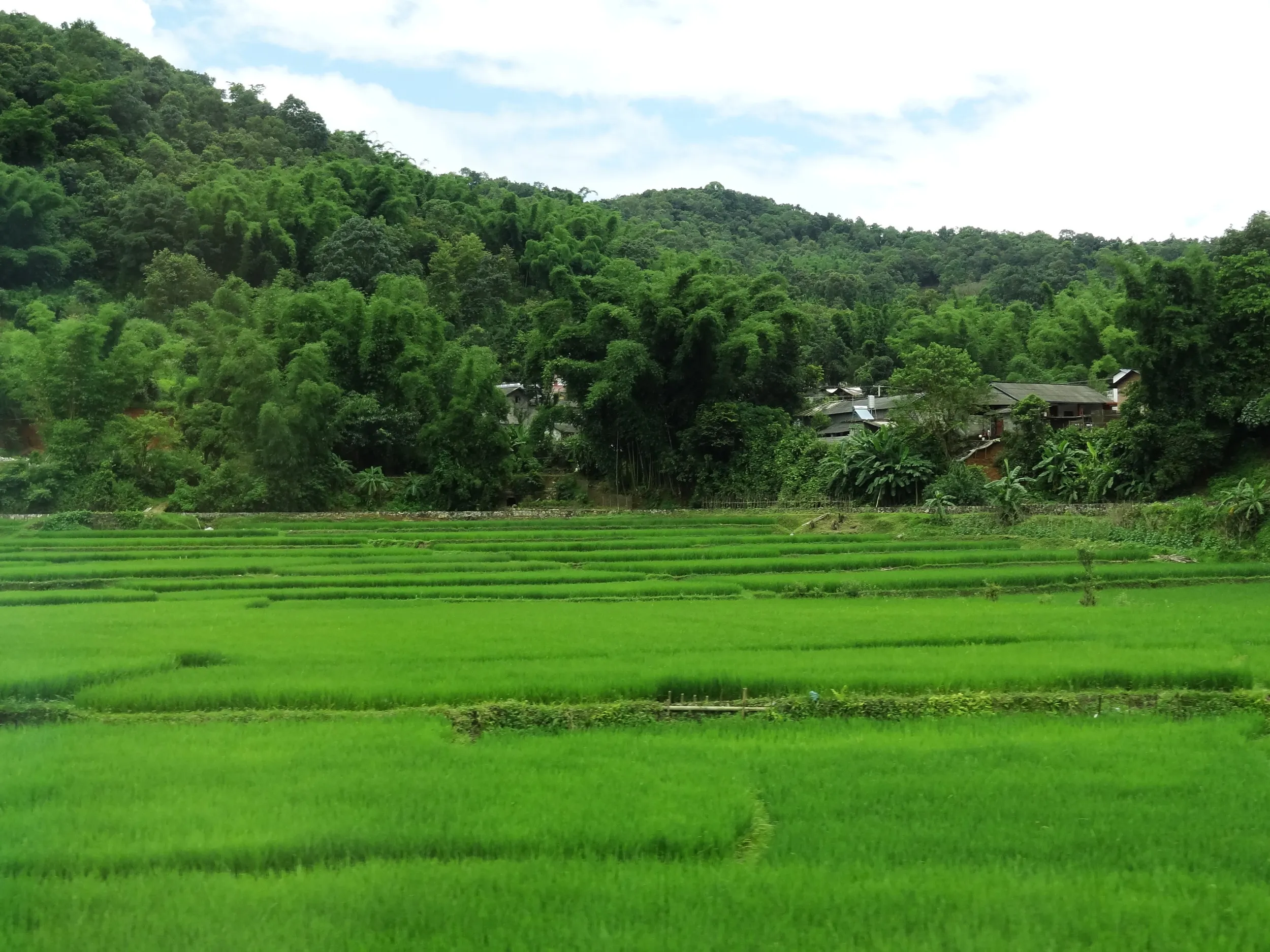 芒市郊外の田園風景