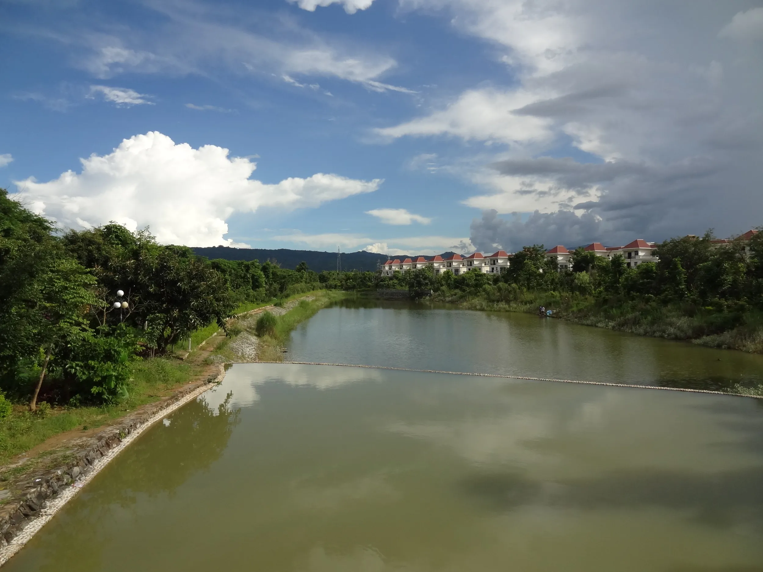 公園を流れる川
