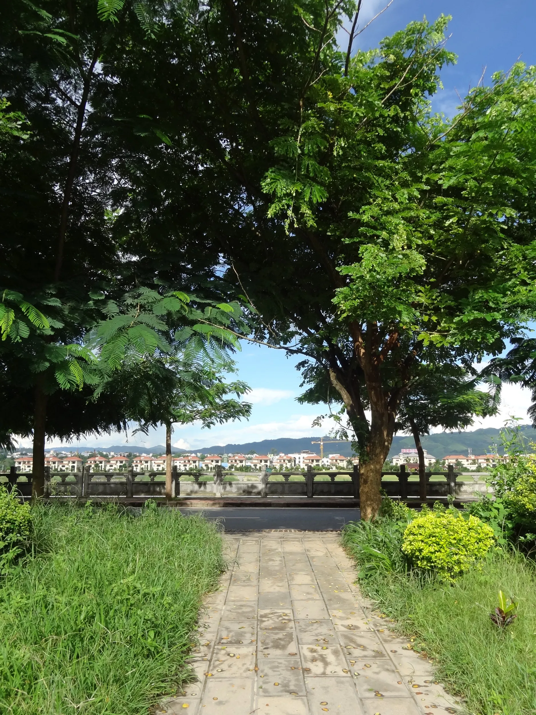 瑞麗江の河畔と対岸の姐告貿易地区