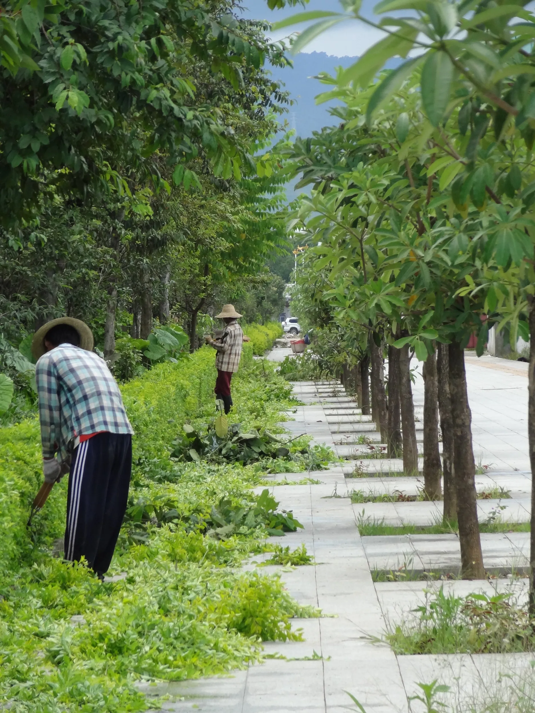 草を刈る地元民
