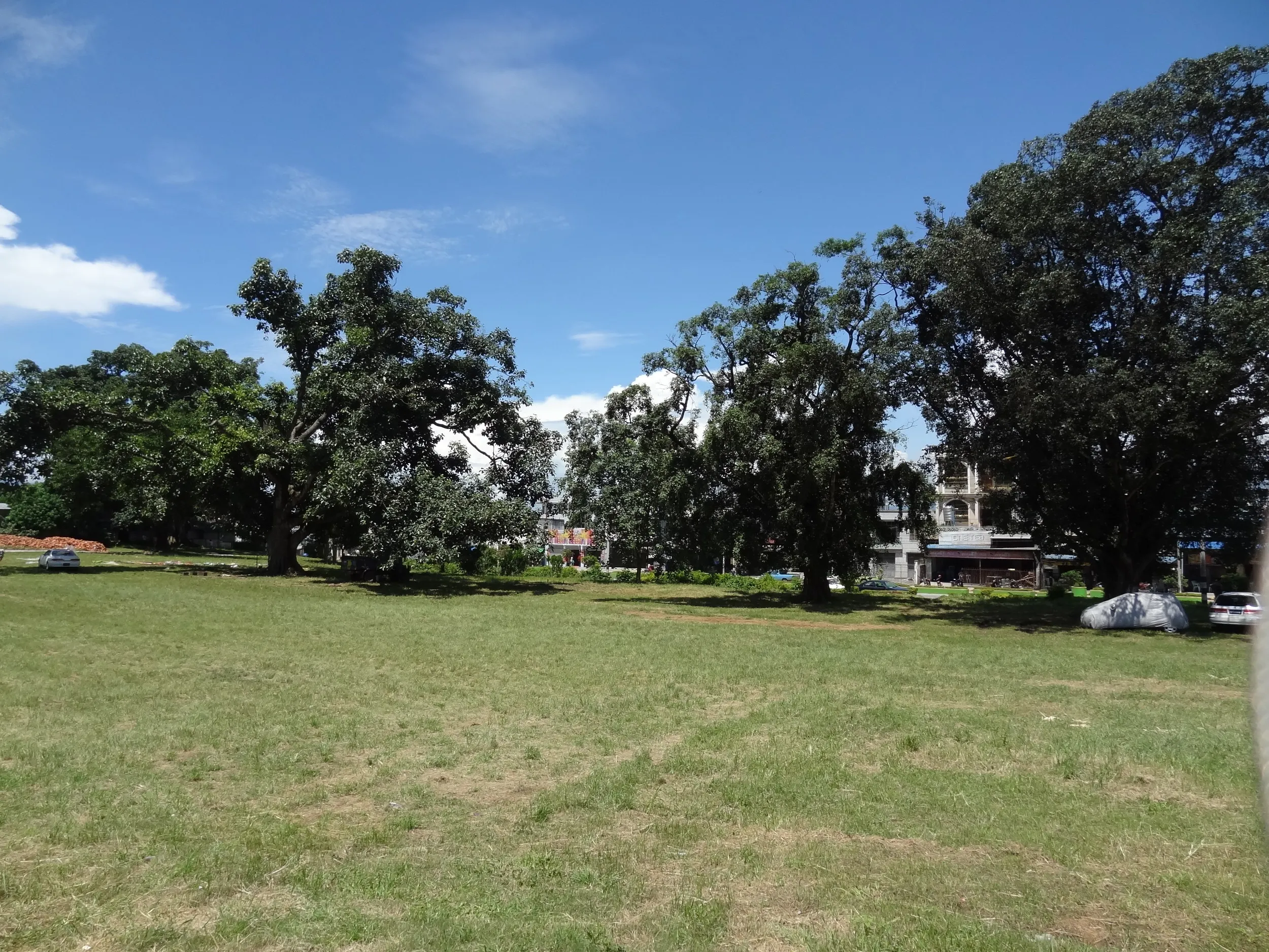 Muse総合病院付近の風景