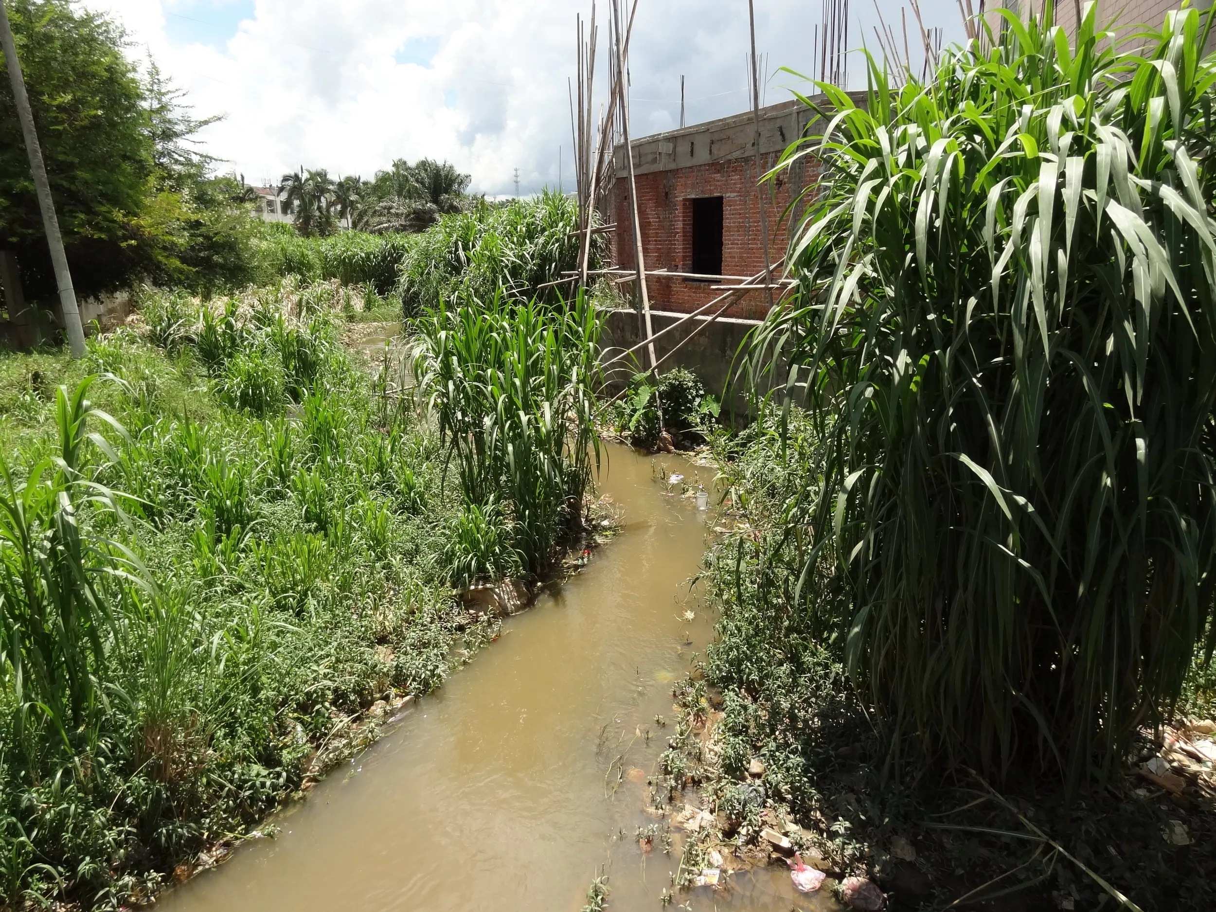 国境を隔てる小川