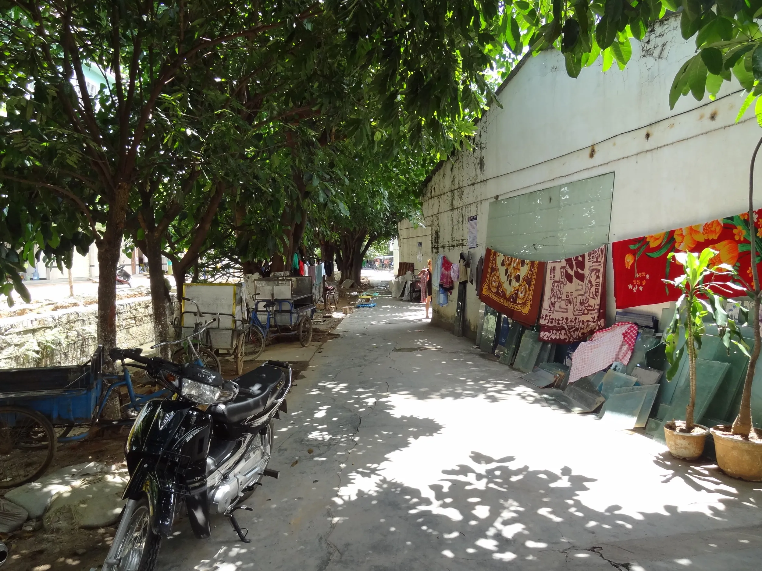 姐告辺境貿易区の住宅街の風景