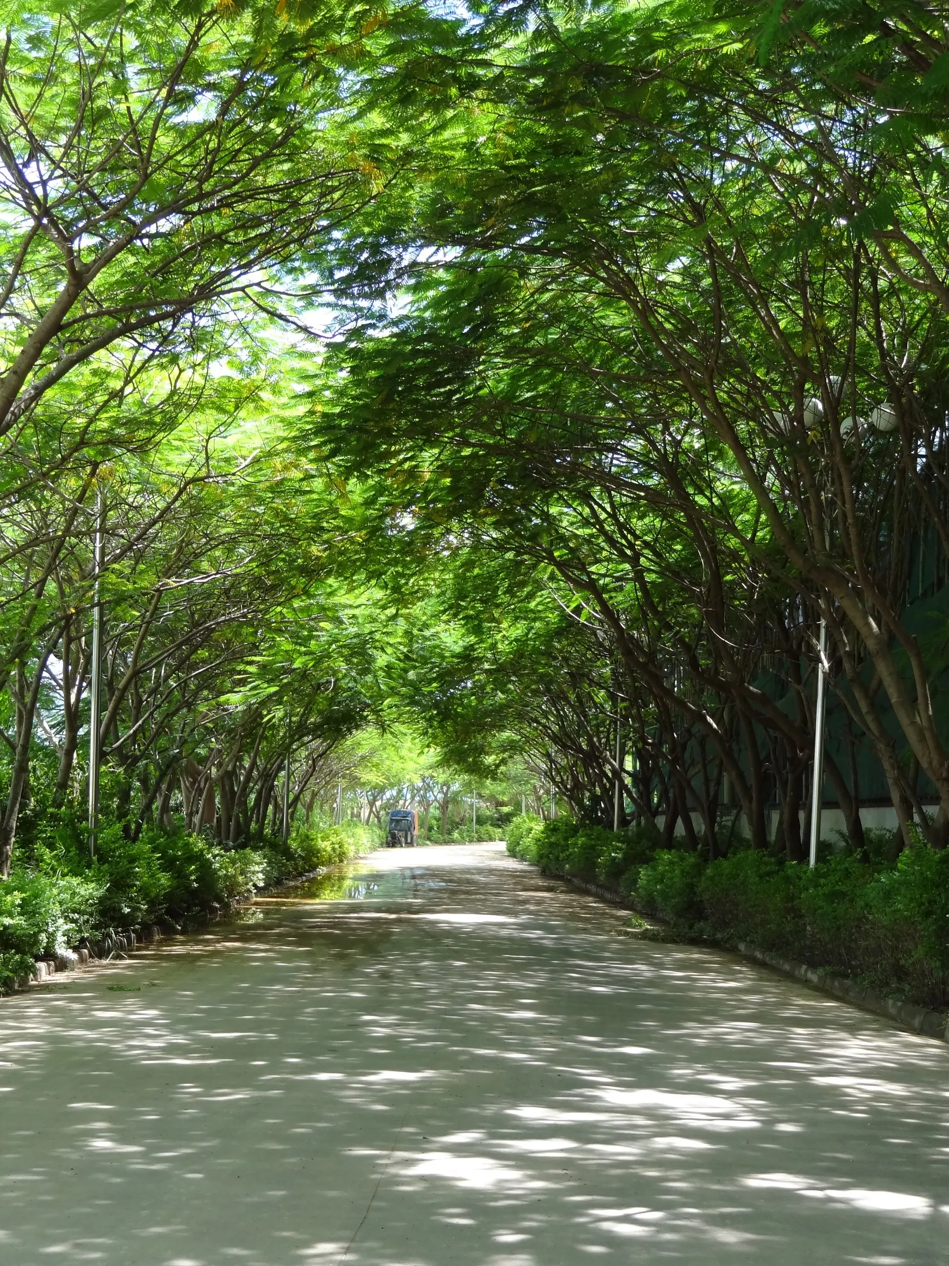 月亮島へ続く道