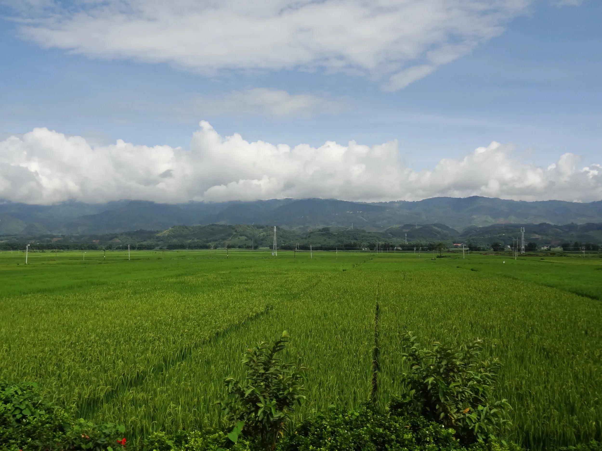 瑞麗〜芒市の間の田園風景