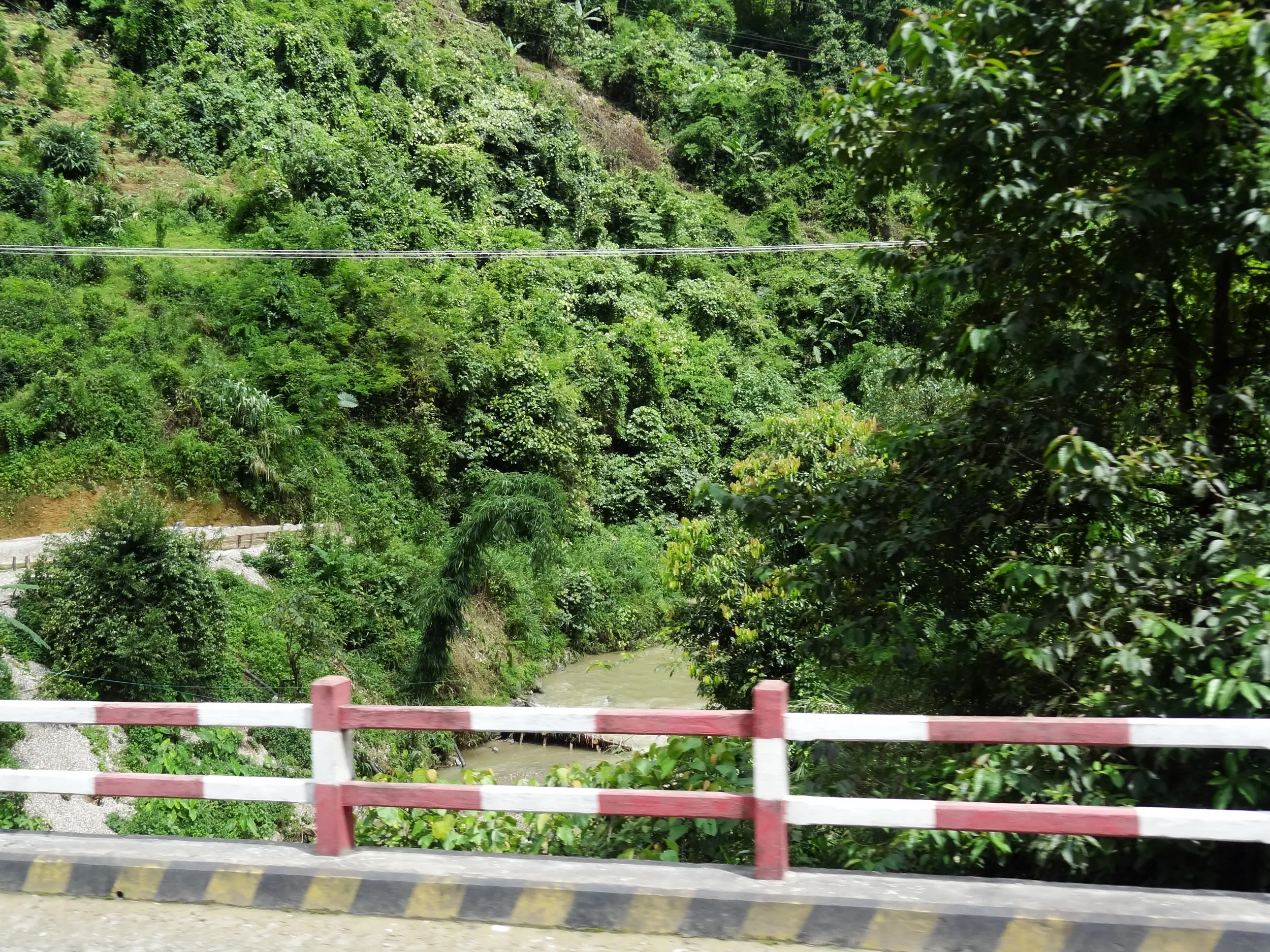 德宏傣族景颇族自治州の密林と川