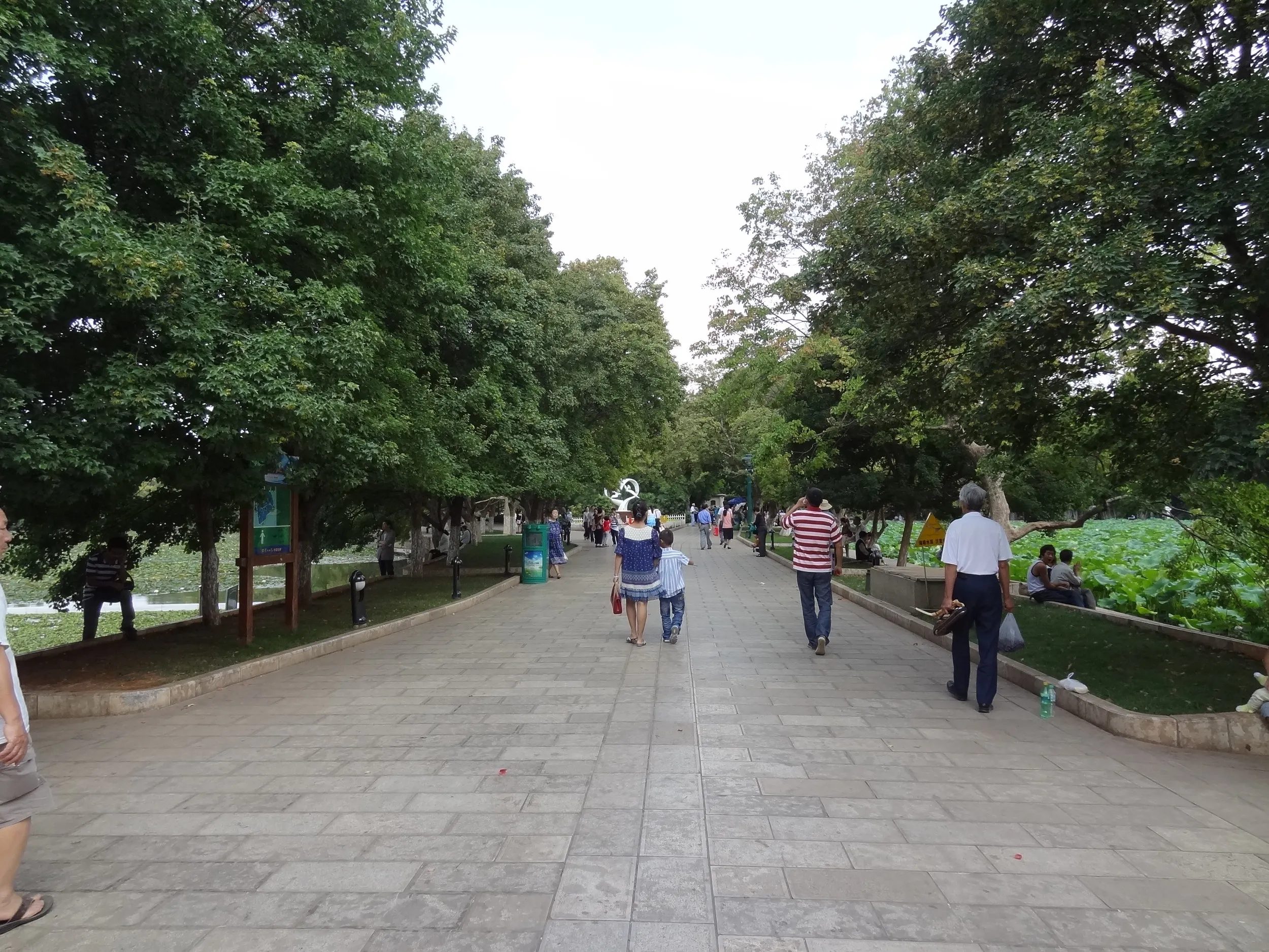 翠湖公園の歩道