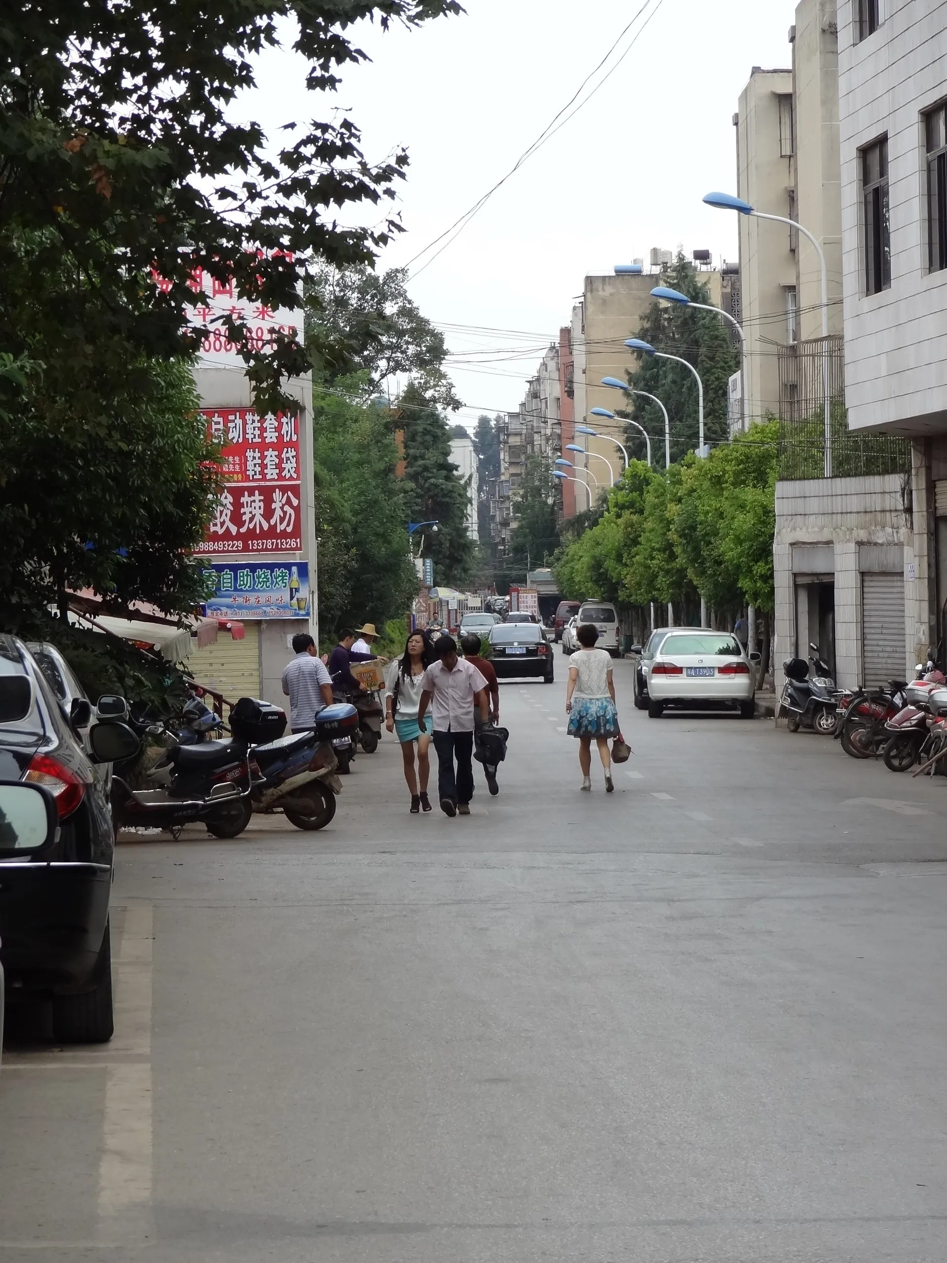 東風東路を散歩