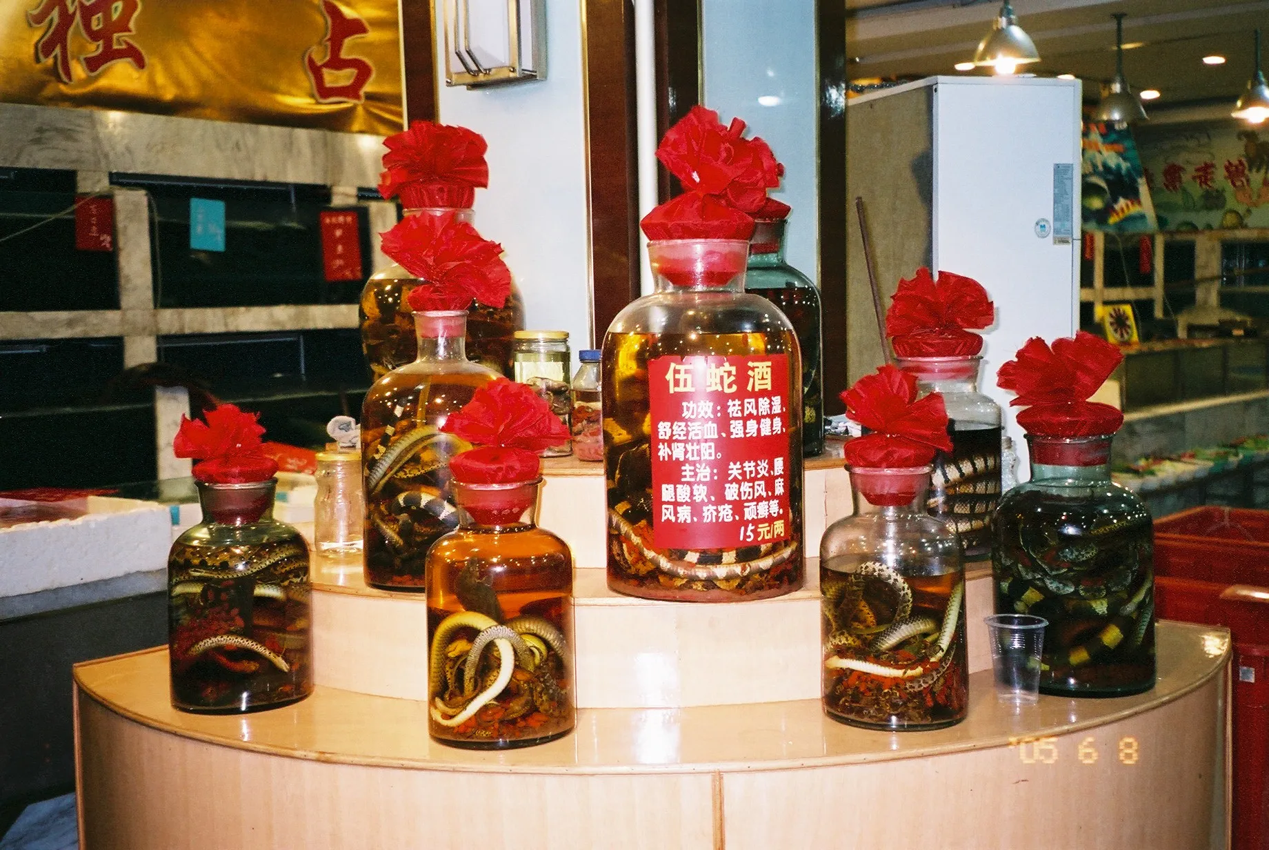 中国旅行記@上海観光、蛇のお酒