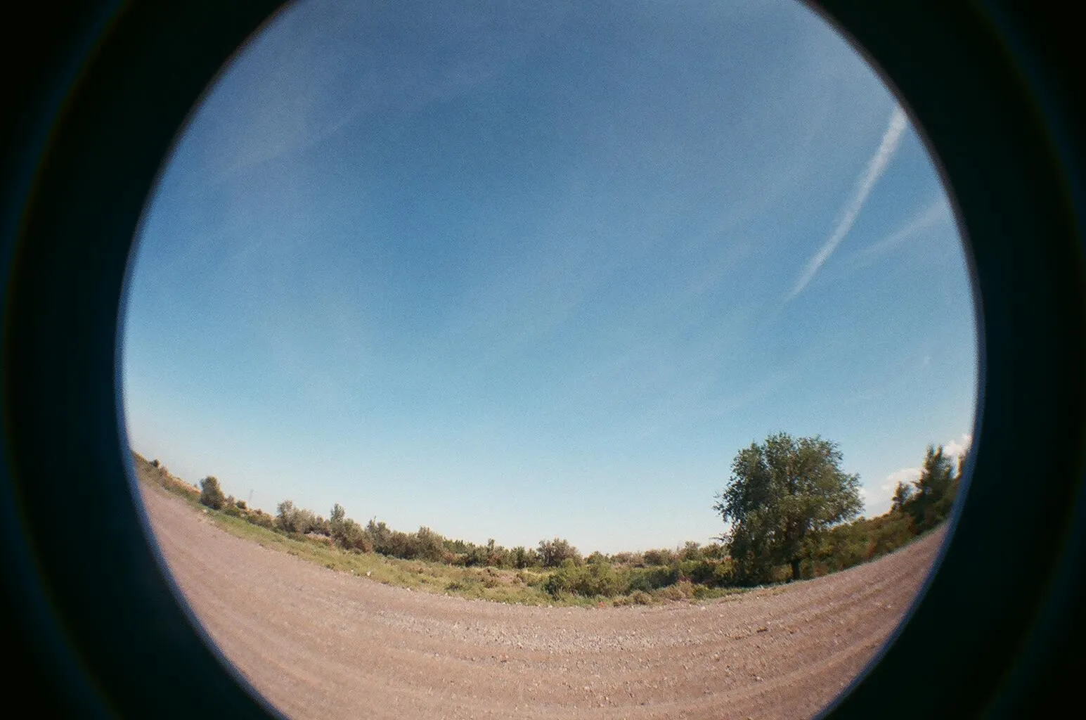 砂漠をLomo Fisheye2で撮影