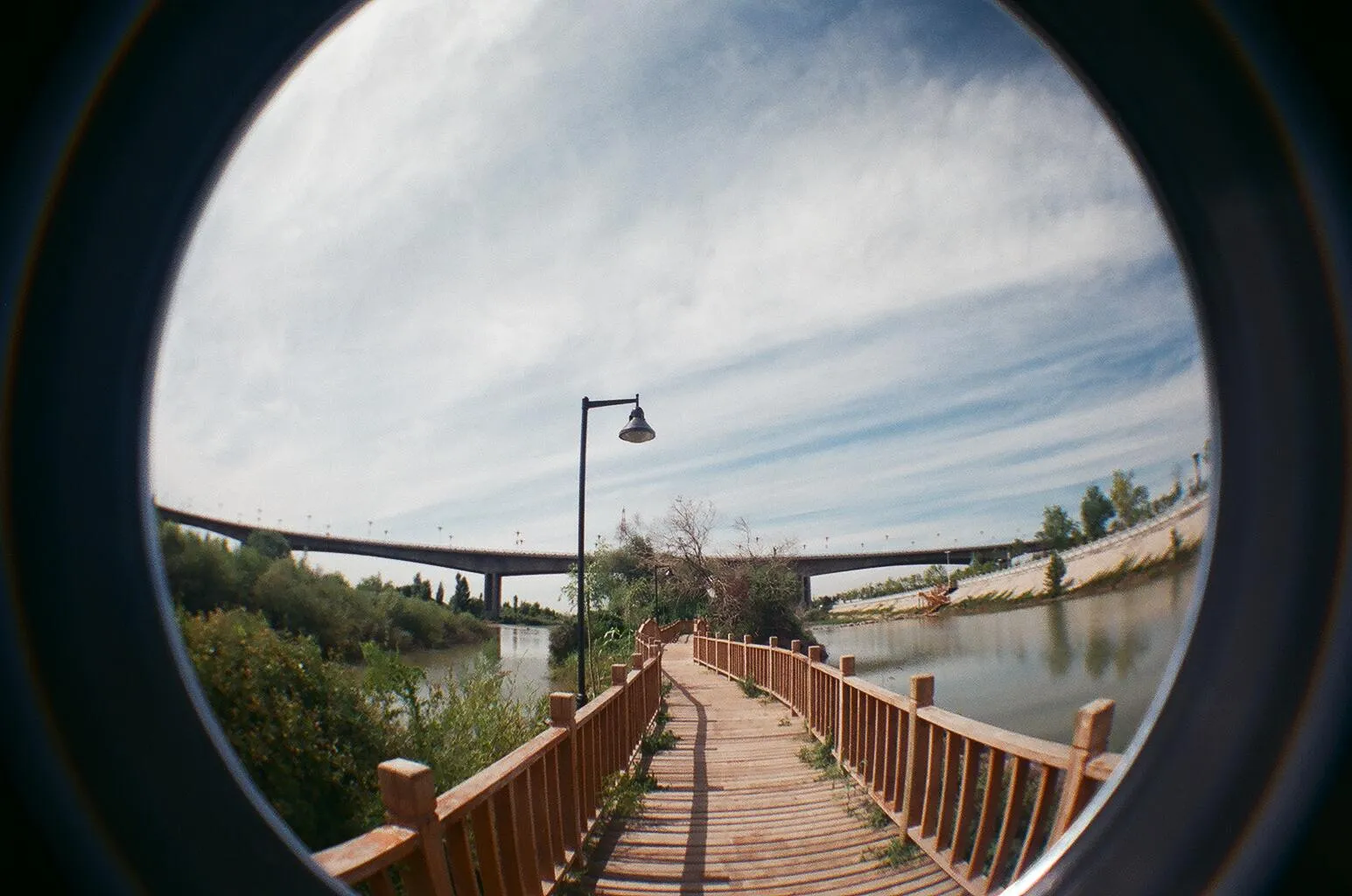 遊歩道をLomo Fisheye2で撮影