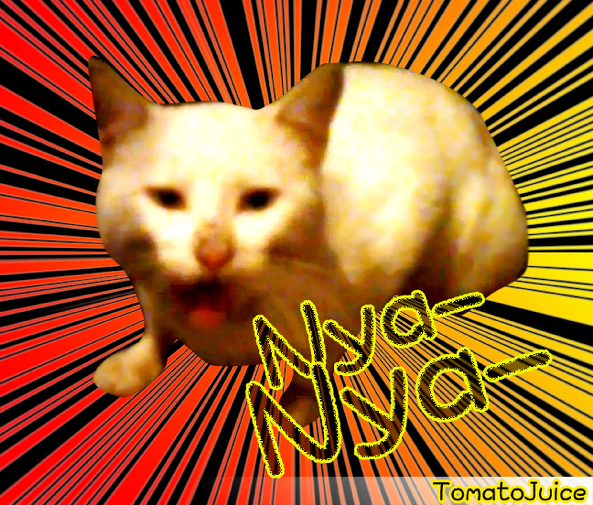 上海蘇州河畔国際青年旅舎（SOHO Youth Hostel）の猫